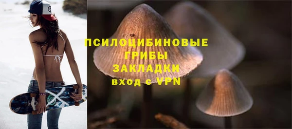 ешки Абаза