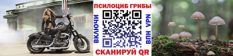 даркнет сайт  МЕГА зеркало  Галлюциногенные грибы ЛСД  Шахты 